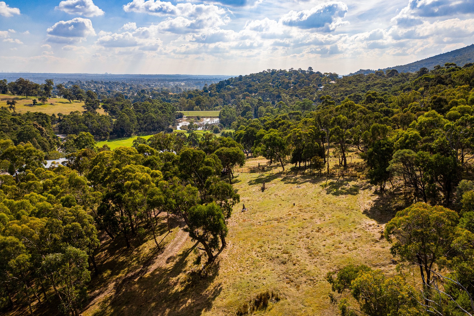 89 Ferndale Road, Upper Ferntree Gully, VIC 3156, Upper Ferntree Gully - Thumbnail 8