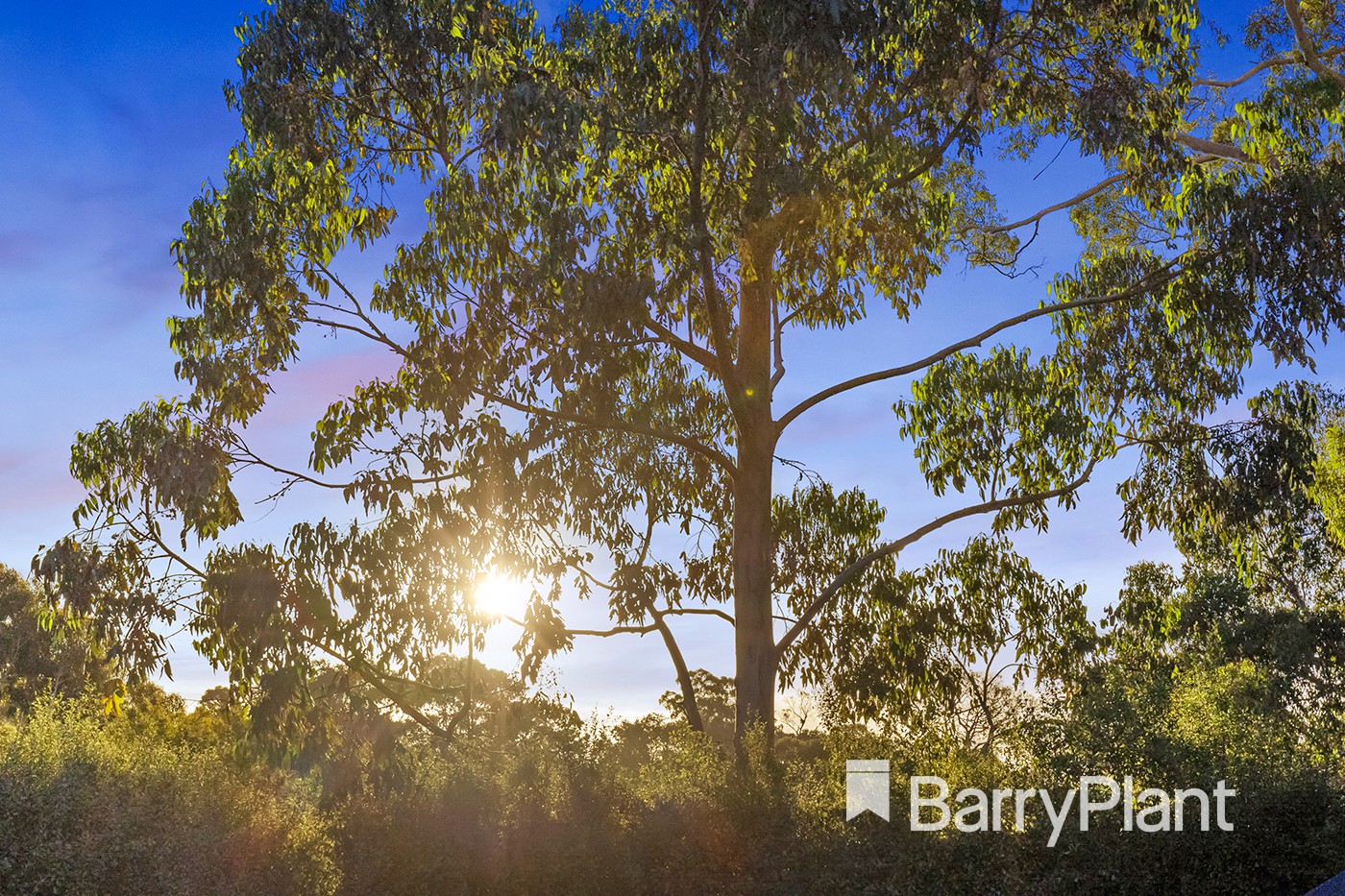 89 Montrose Road, Kilsyth, VIC 3137 - Thumbnail 2 - 24/02/2022