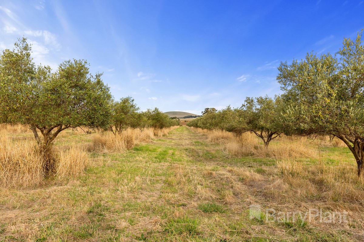 890 Creswick-Lawrence RoadLawrence, VIC 3364, Lawrence - Thumbnail 3