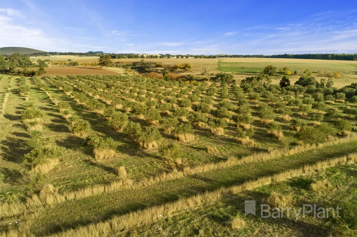 890 Creswick-Lawrence RoadLawrence, VIC 3364, Lawrence - Thumbnail 4