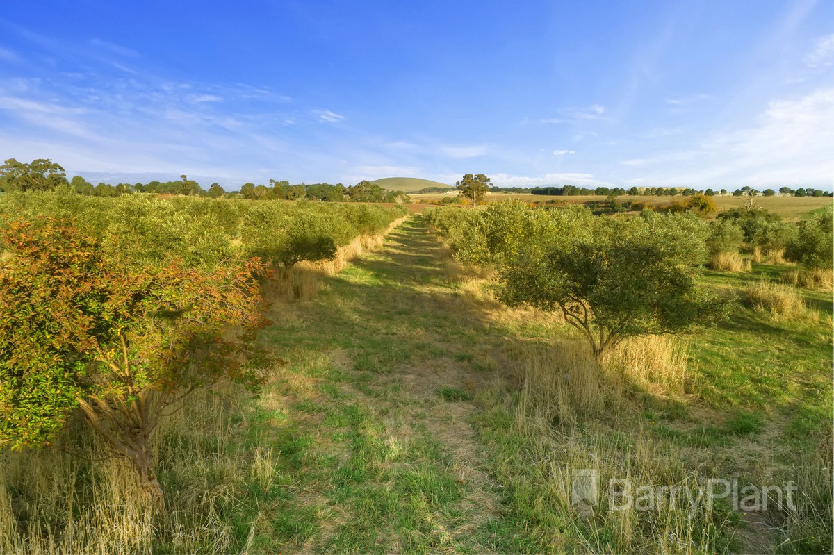 890 Creswick-Lawrence RoadLawrence, VIC 3364, Lawrence - Thumbnail 6