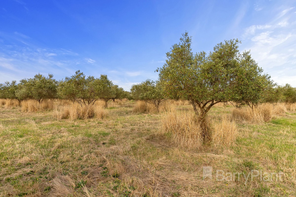 890 Creswick-Lawrence RoadLawrence, VIC 3364, Lawrence - Thumbnail 7