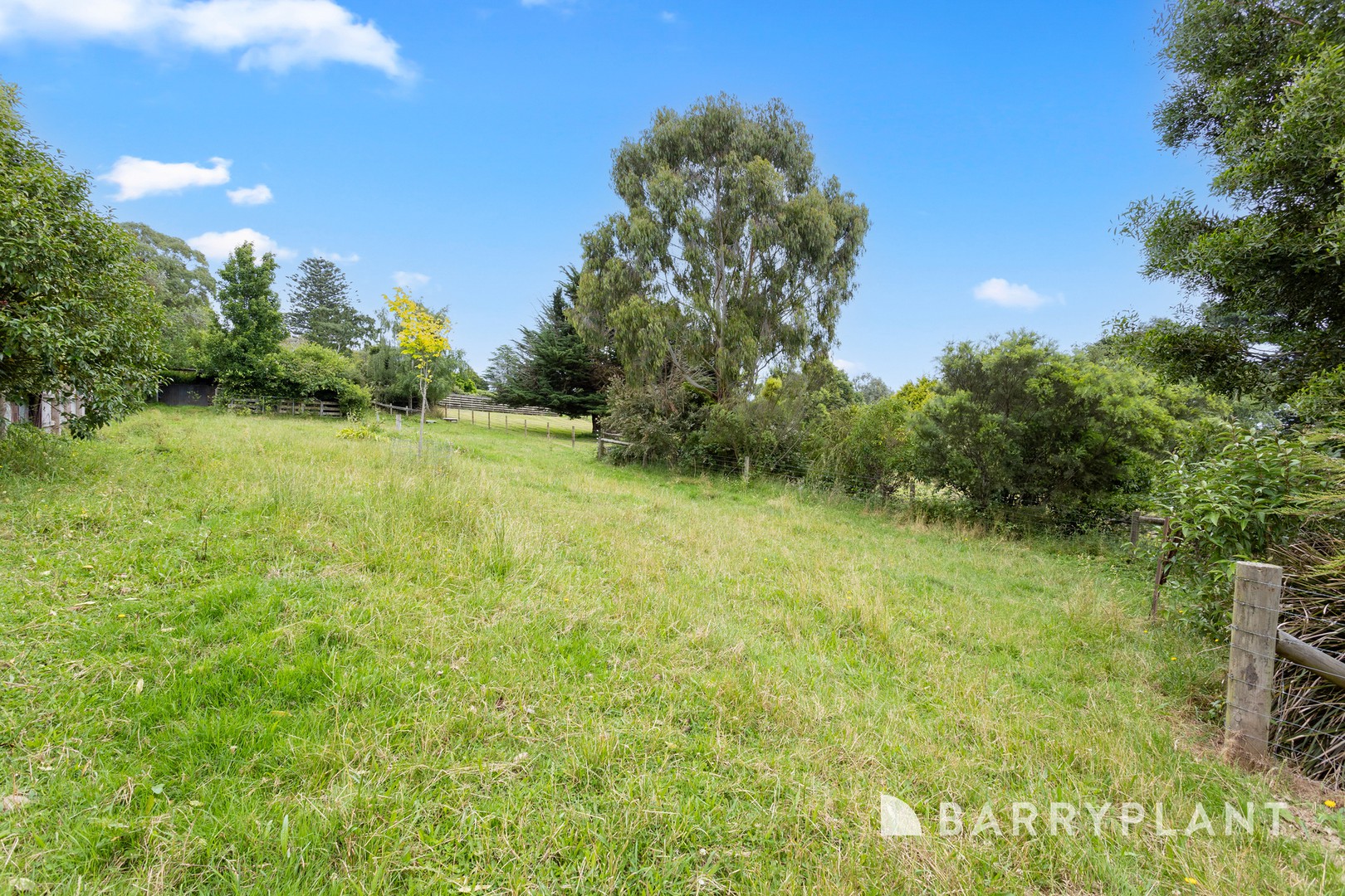 8B Bena Road, Korumburra, VIC 3950, Korumburra - Thumbnail 5