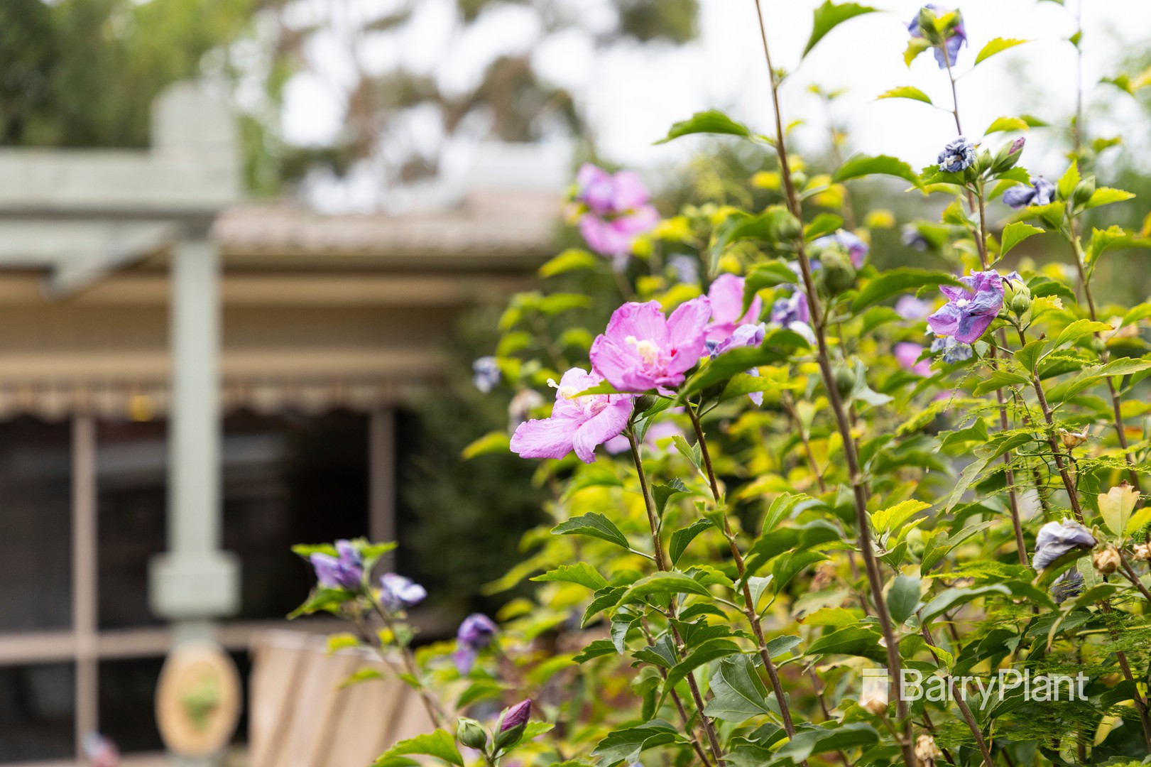 9/42 Barkly Street, Mordialloc, VIC 3195, Mordialloc - Thumbnail 8