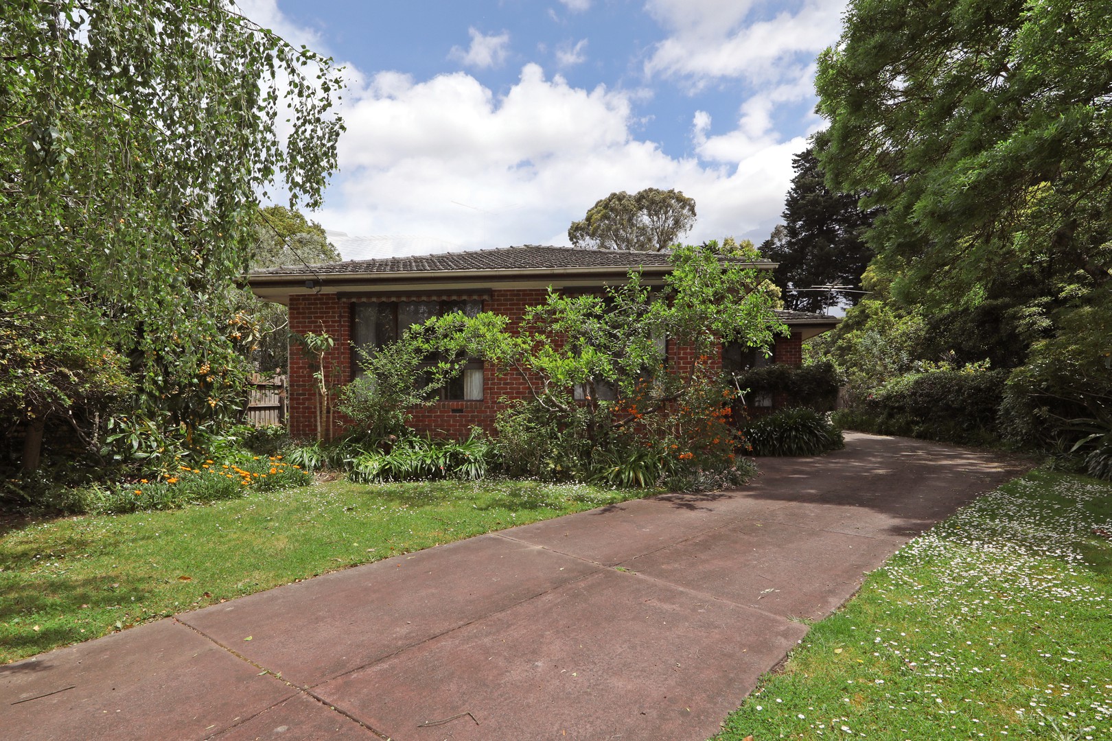 9 Alan Street, Blackburn South, VIC 3130, Blackburn South - Thumbnail 2