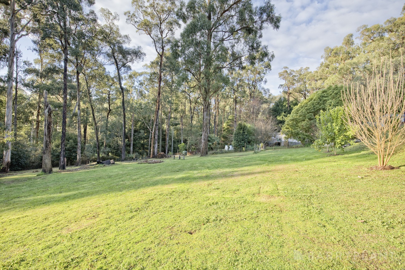 9 Brisbanes Road, Cockatoo, VIC 3781, Cockatoo - Thumbnail 6
