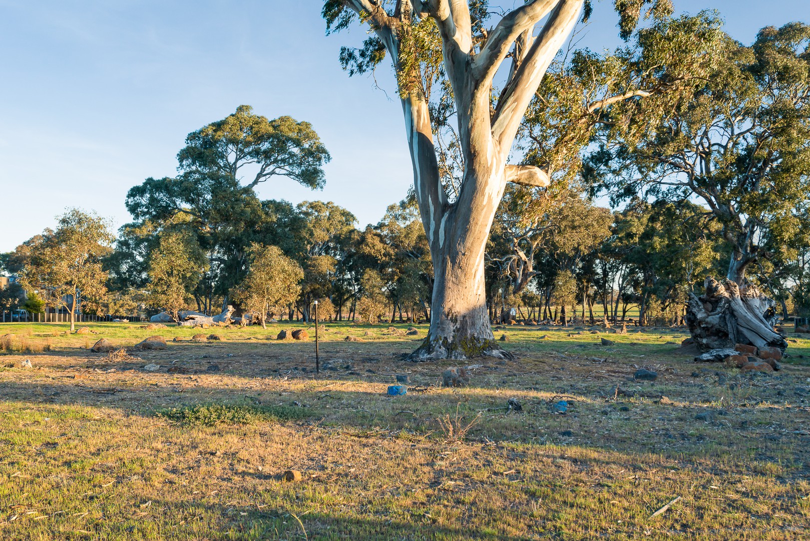 9 Elation Boulevard, Doreen, VIC 3754, Doreen - Thumbnail 8