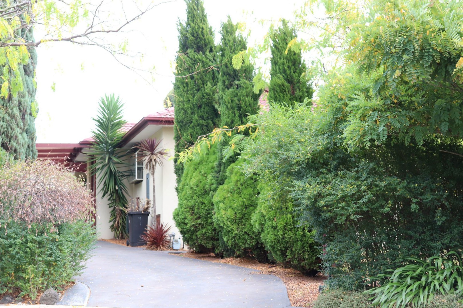 9 Fernly Court, Wheelers Hill, VIC 3150, Wheelers Hill - Thumbnail 7