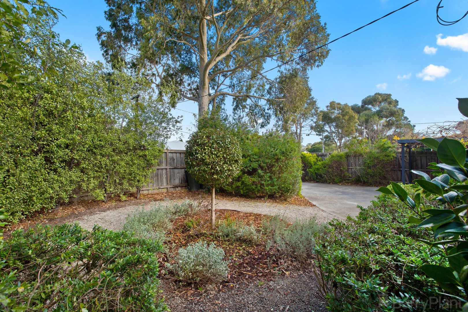 9 Finlayson Street, Forest Hill, VIC 3131, Forest Hill - Thumbnail 3