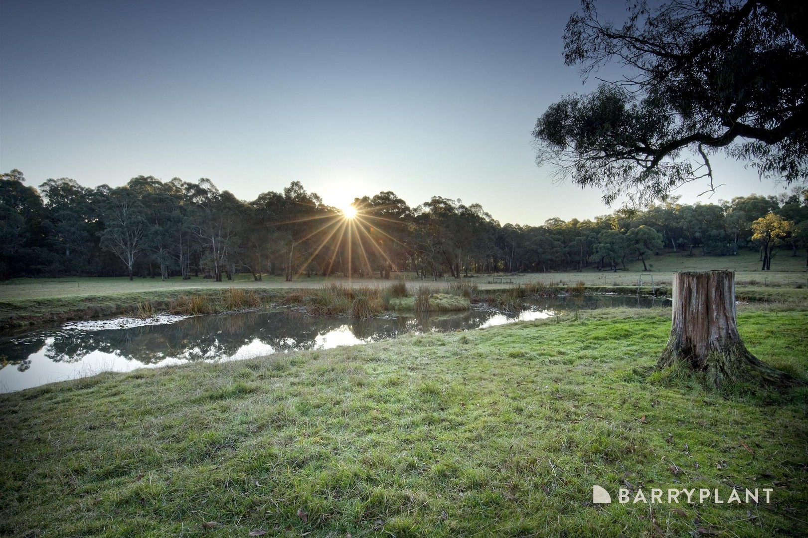9 Oxford Downs, Macclesfield, VIC 3782, Macclesfield - Thumbnail 3
