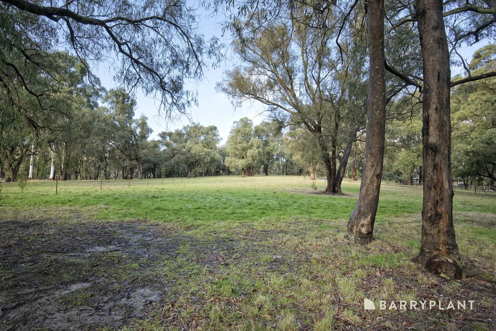 9 Oxford Downs, Macclesfield, VIC 3782, Macclesfield - Thumbnail 4