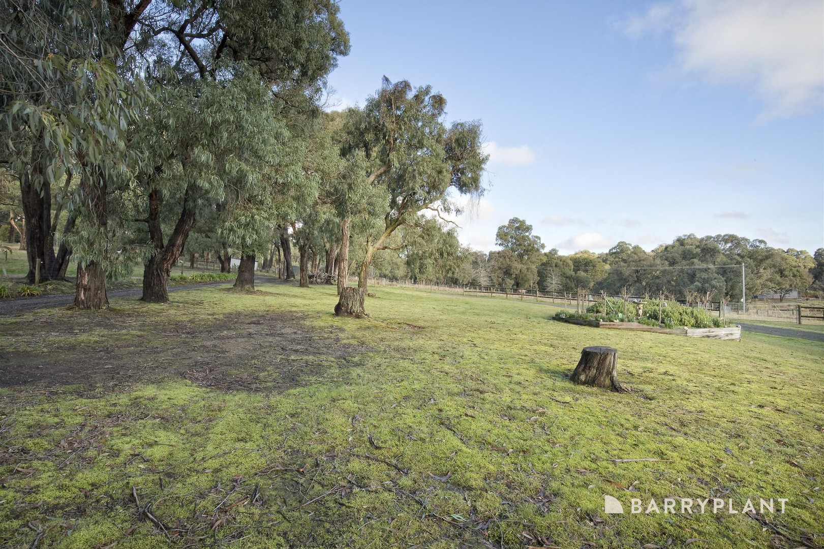 9 Oxford Downs, Macclesfield, VIC 3782, Macclesfield - Thumbnail 8