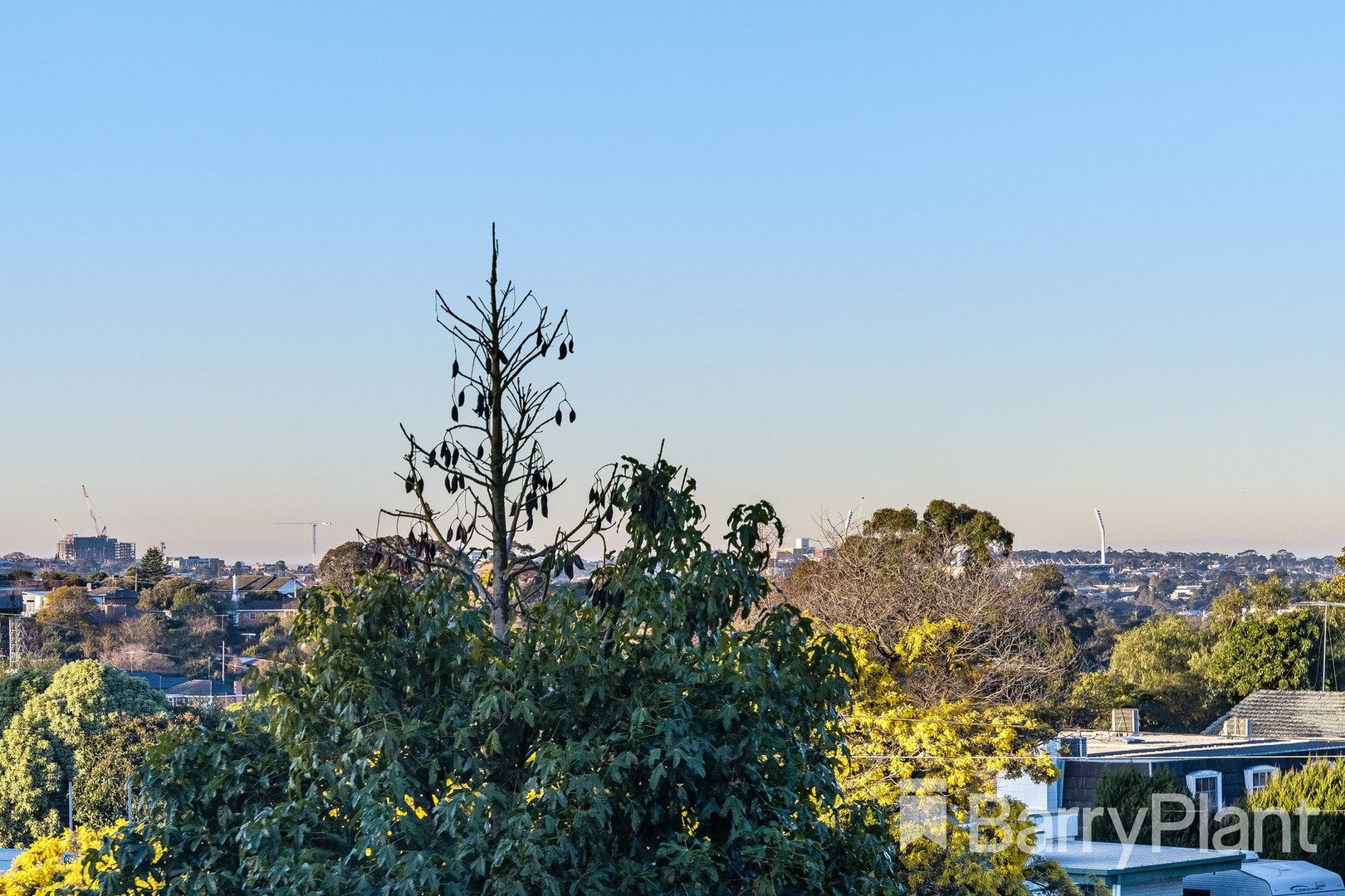 9 Remony Avenue, Highton, VIC 3216, Highton - Thumbnail 8