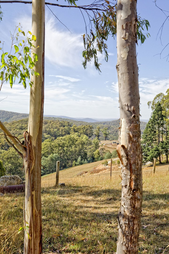 90 Grey Road, Gembrook, VIC 3783, Gembrook - Thumbnail 6