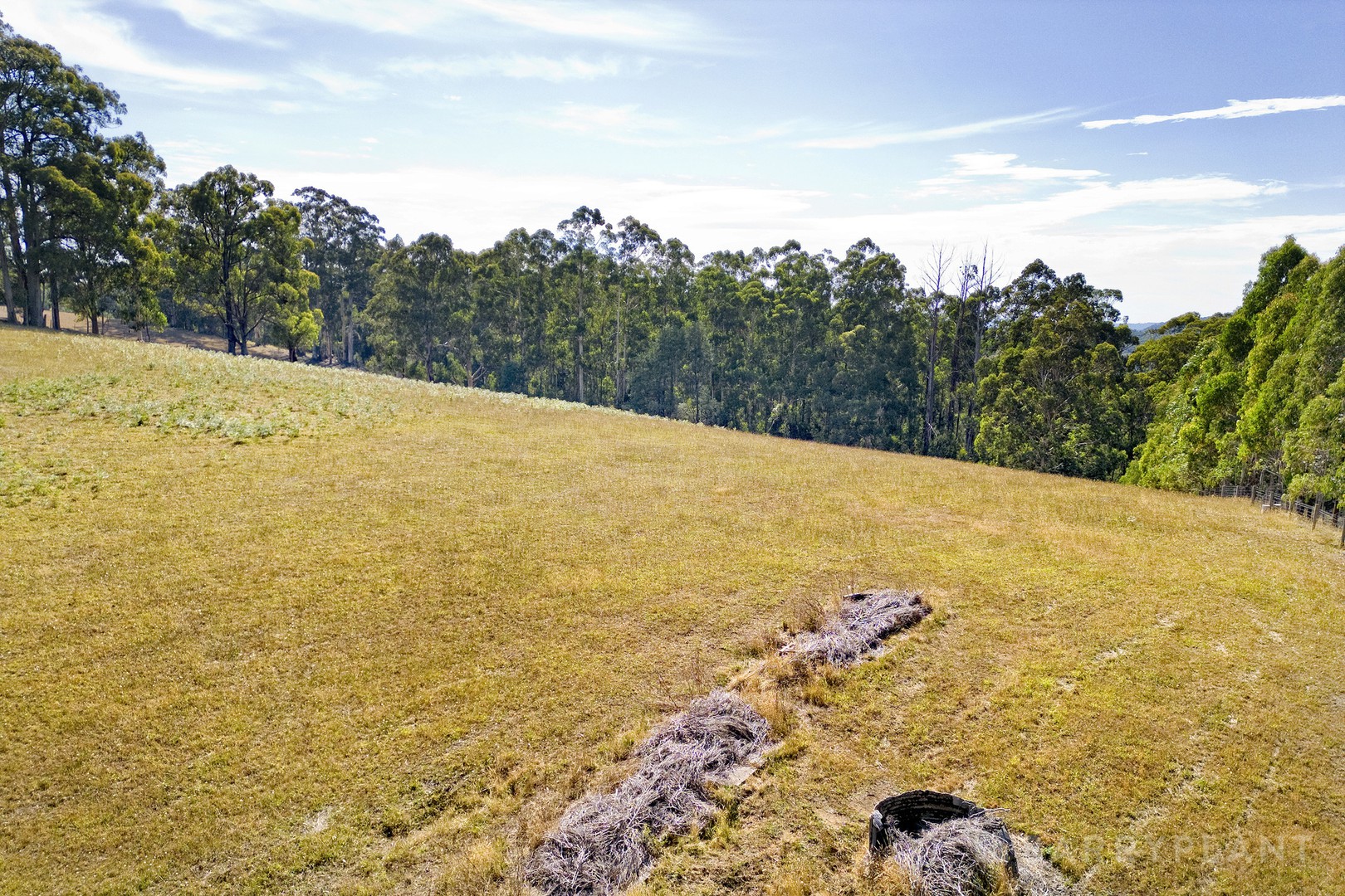 90 Grey Road, Gembrook, VIC 3783, Gembrook - Thumbnail 7