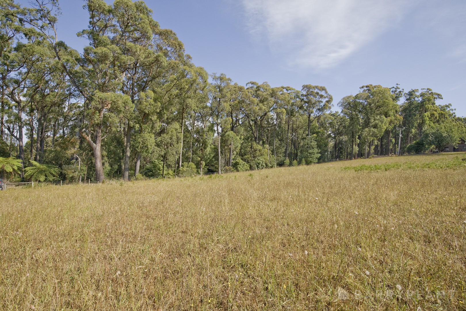 90 Grey Road, Gembrook, VIC 3783, Gembrook - Thumbnail 8