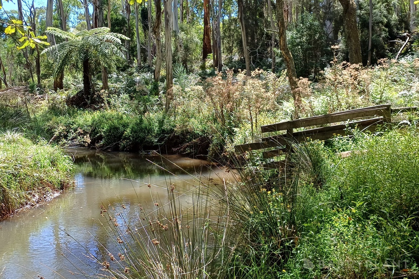 Yellingbo, VIC 3139 - Thumbnail 2 - 03/09/2025