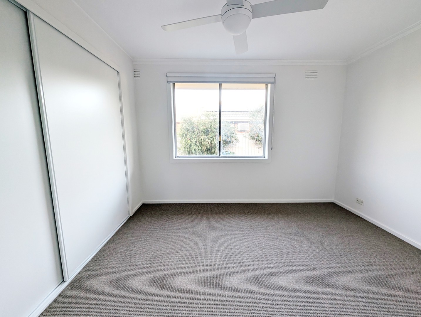 93 Fairy Street, Bell Post Hill, VIC 3215, Bell Post Hill - Thumbnail 6