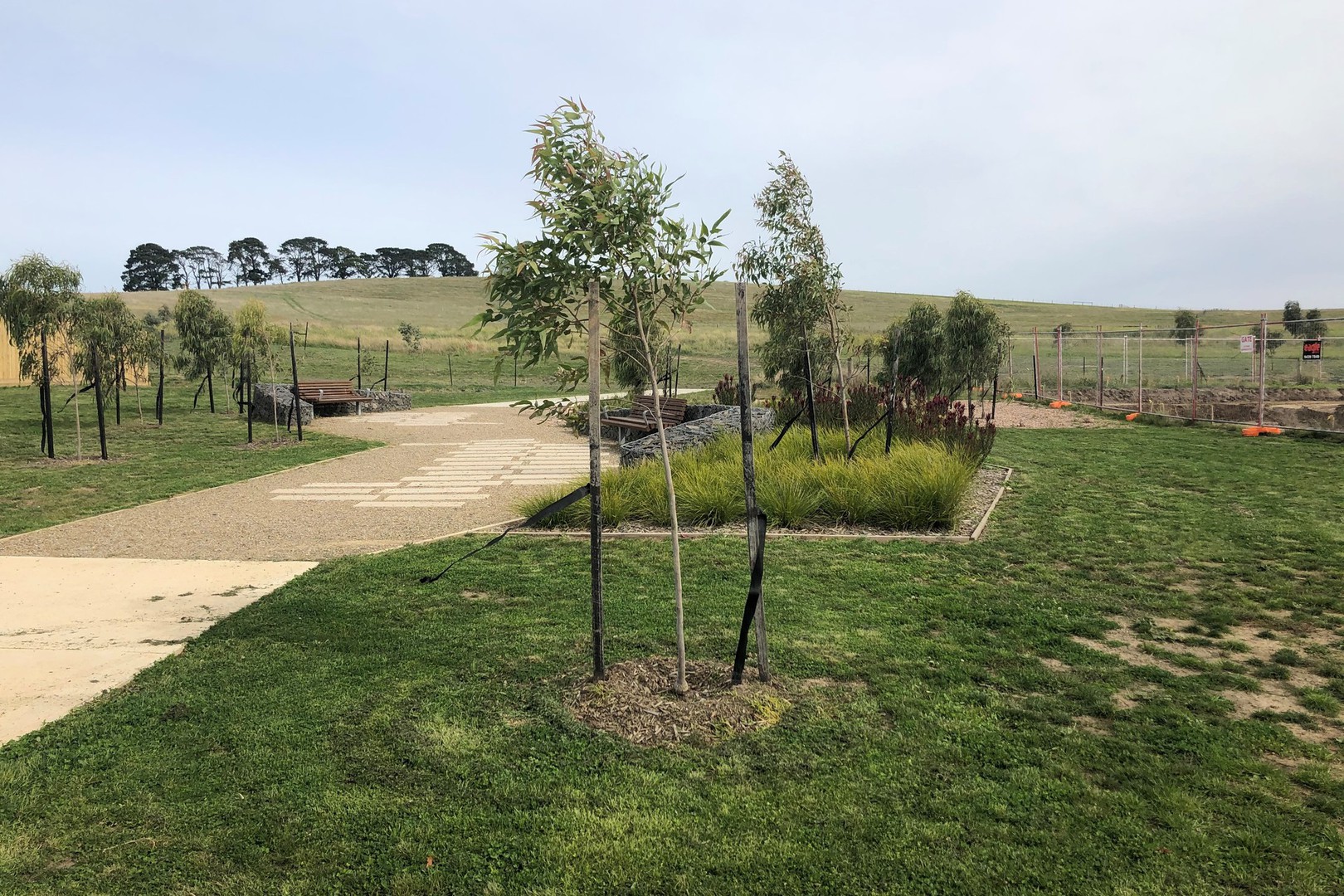93 Kerrabee Drive, Mernda, VIC 3754, Mernda - Thumbnail 7