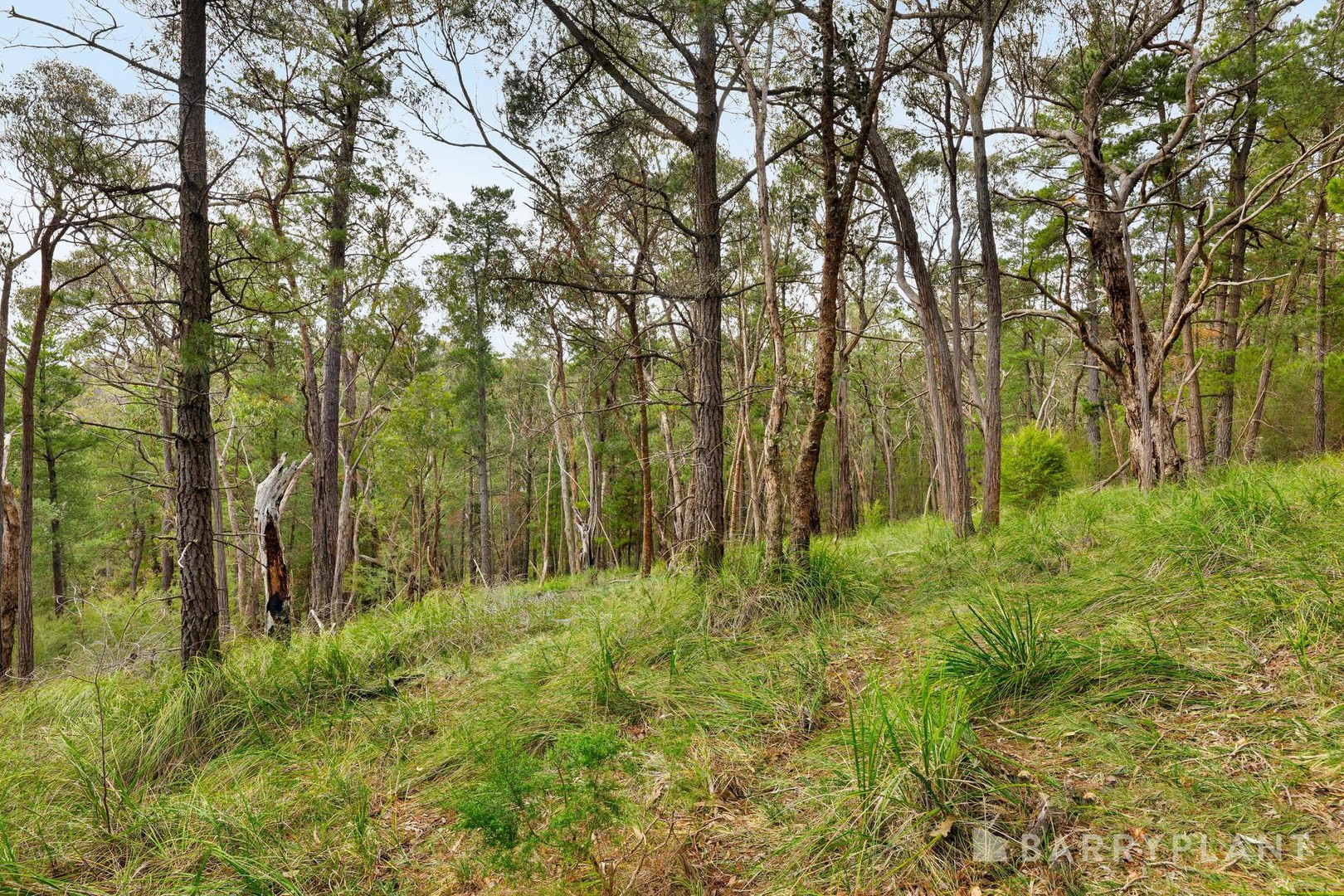 935 Buttermans Track, Christmas Hills, VIC 3775, Christmas Hills - Thumbnail 3