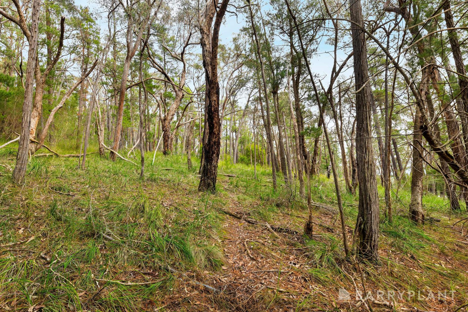 935 Buttermans Track, Christmas Hills, VIC 3775, Christmas Hills - Thumbnail 4