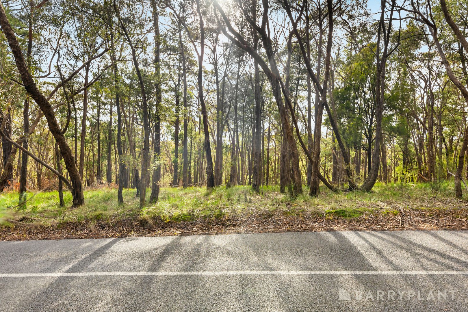 935 Buttermans Track, Christmas Hills, VIC 3775, Christmas Hills - Thumbnail 6
