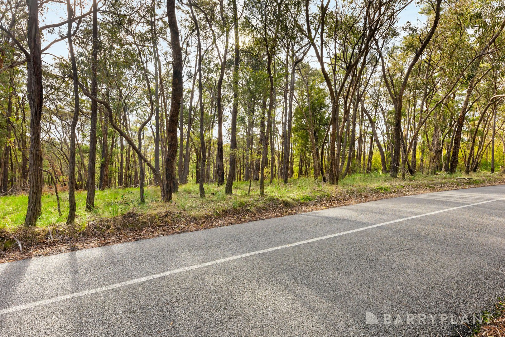 935 Buttermans Track, Christmas Hills, VIC 3775, Christmas Hills - Thumbnail 7