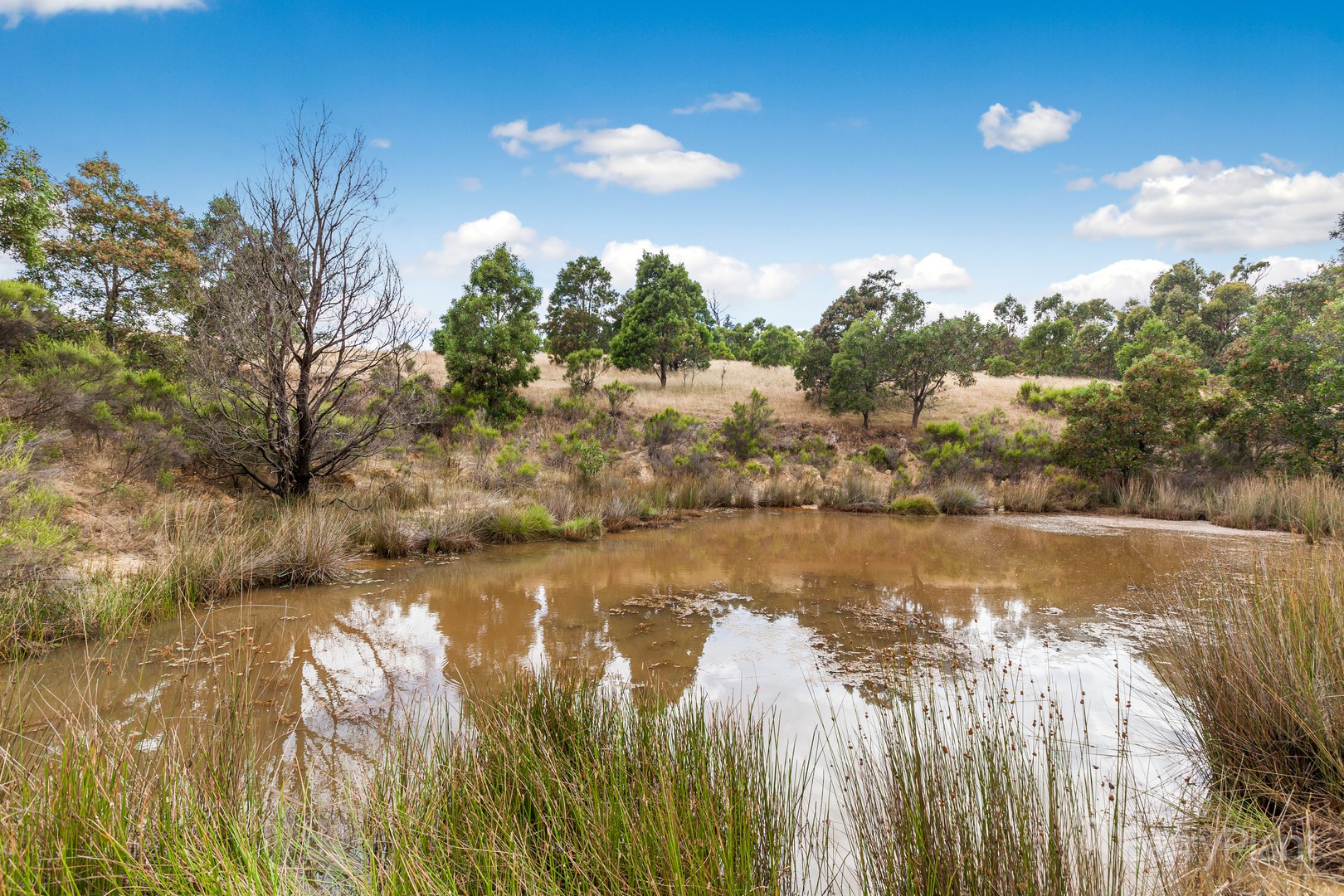 95 Beauview Drive, Wallan, VIC 3756, Wallan - Thumbnail 5