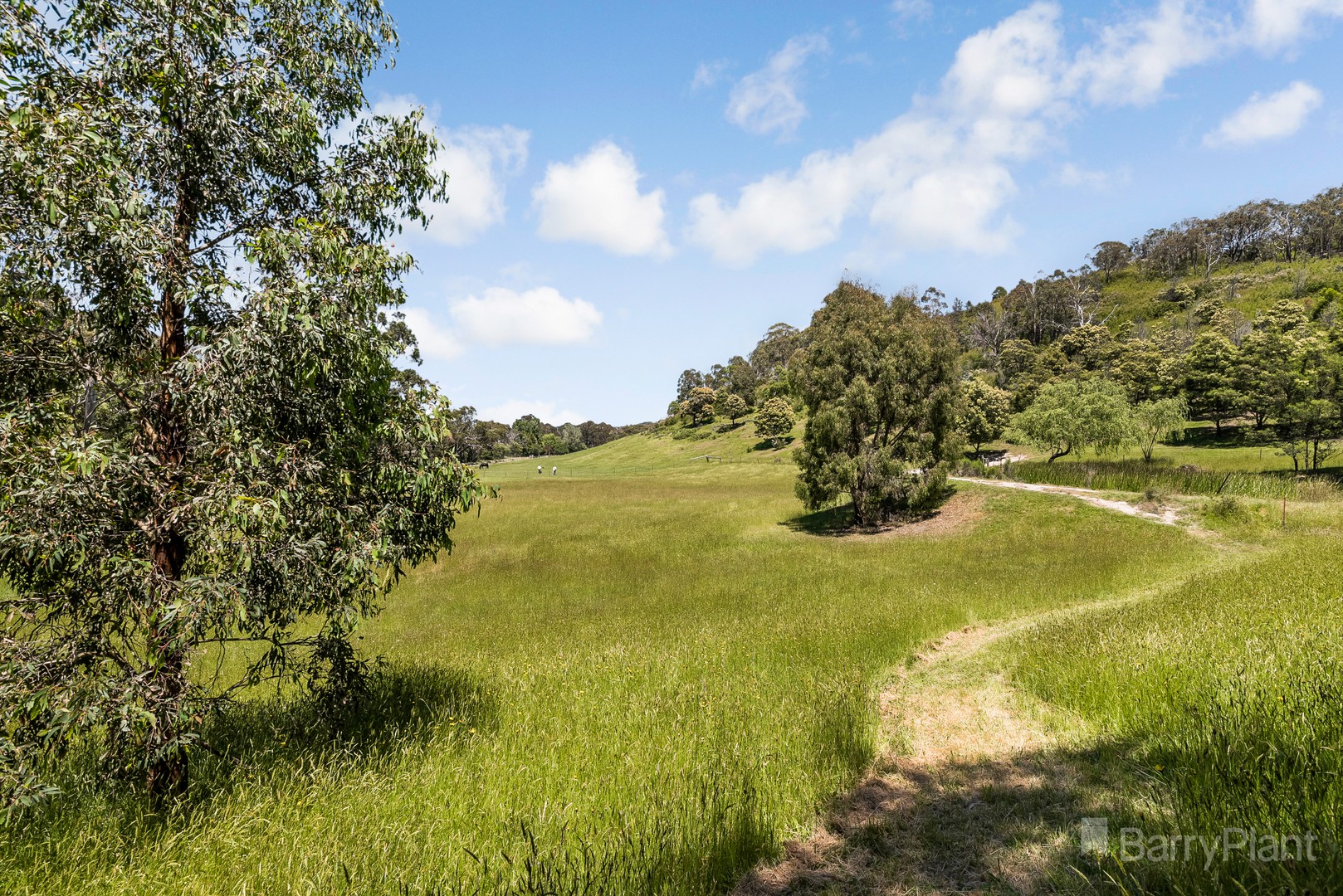 95 Clarkes Road, Upper Plenty, VIC 3756, Upper Plenty - Thumbnail 3