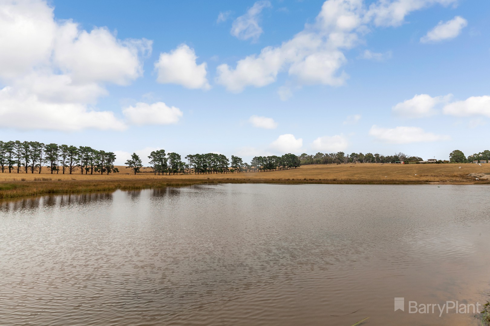95 Forbes-Moranding Road, Kilmore, VIC 3764, Kilmore - Thumbnail 5