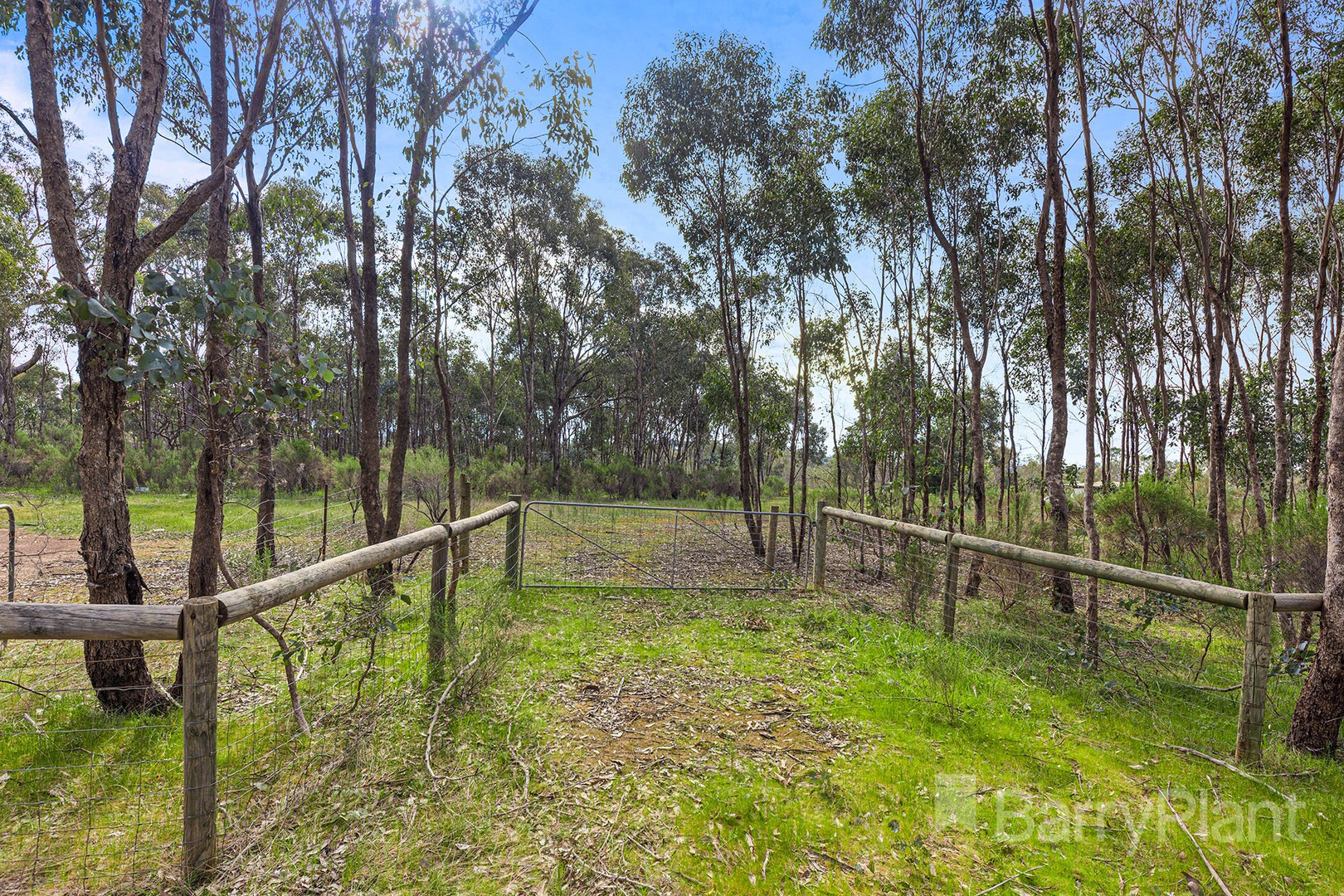 97 Wilson Road, Heathcote, VIC 3523, Heathcote - Thumbnail 7