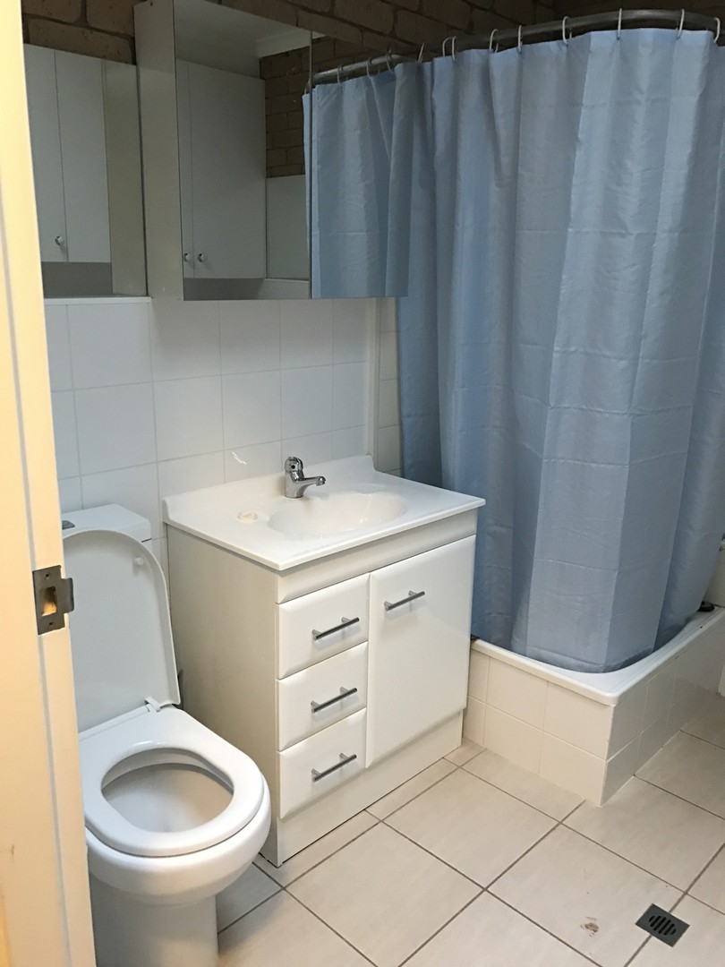 994 Karadoc Avenue, Irymple, VIC 3498, Irymple - Thumbnail 5