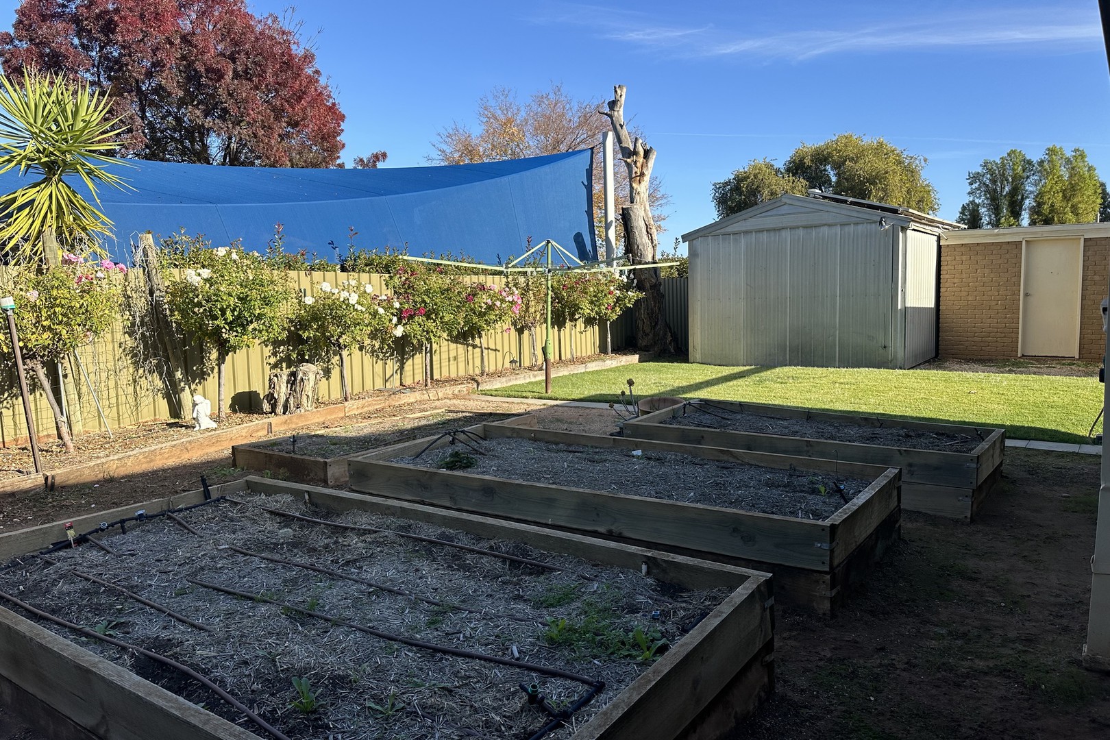 998 Karadoc Avenue, Irymple, VIC 3498, Irymple - Thumbnail 5