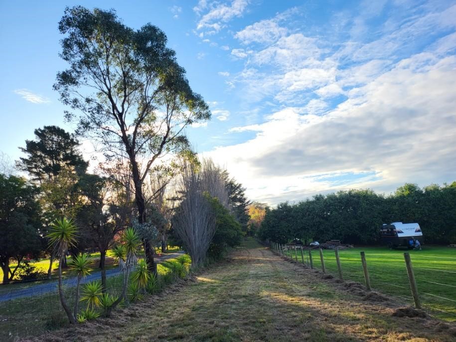 9A Delaneys Road, Warranwood, VIC 3134, Warranwood - Thumbnail 5