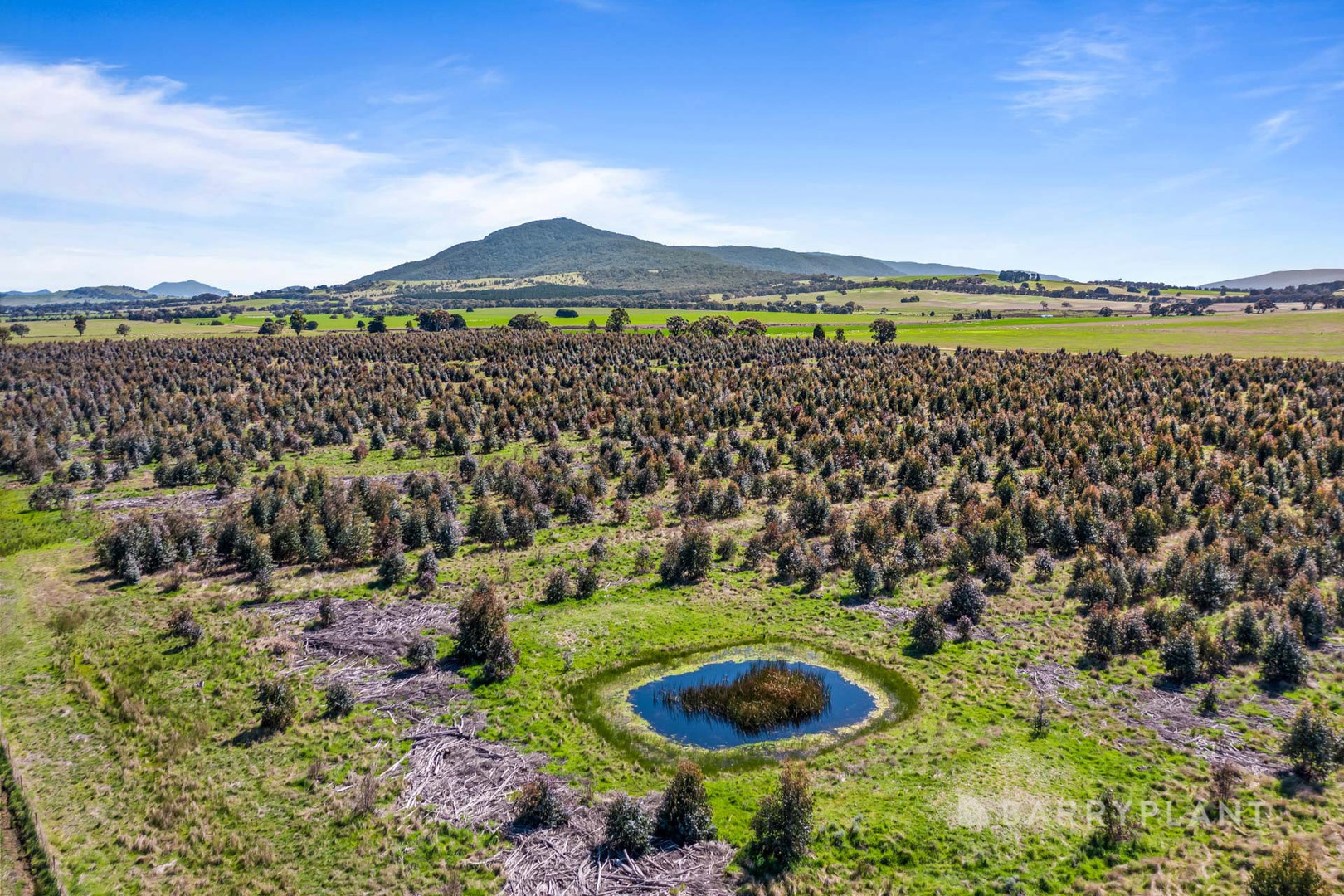 A49a Lucardies Road, Raglan, VIC 3373 - Thumbnail 1 - 22/09/2023