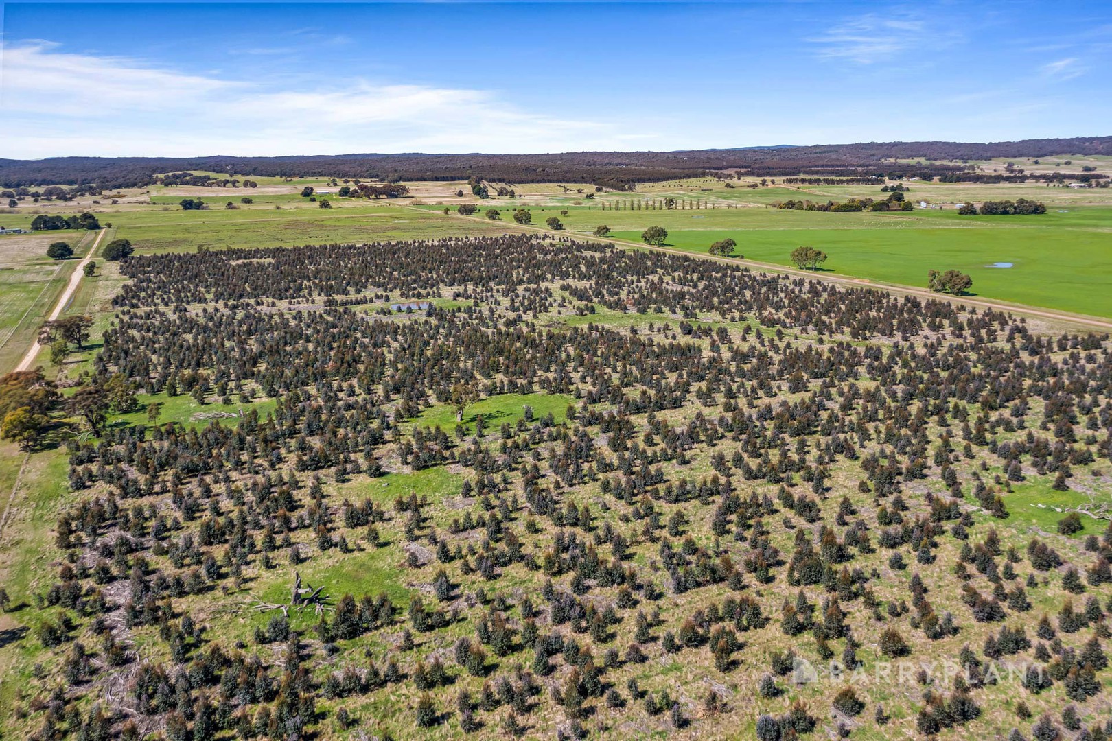 A49a Lucardies Road, Raglan, VIC 3373, Raglan - Thumbnail 4