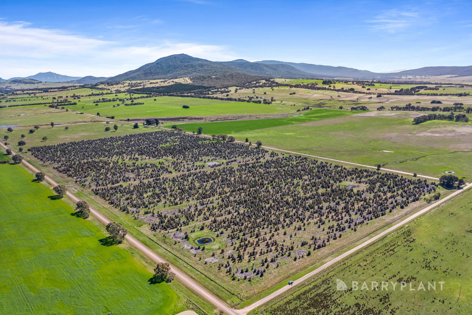 A49a Lucardies Road, Raglan, VIC 3373, Raglan - Thumbnail 5