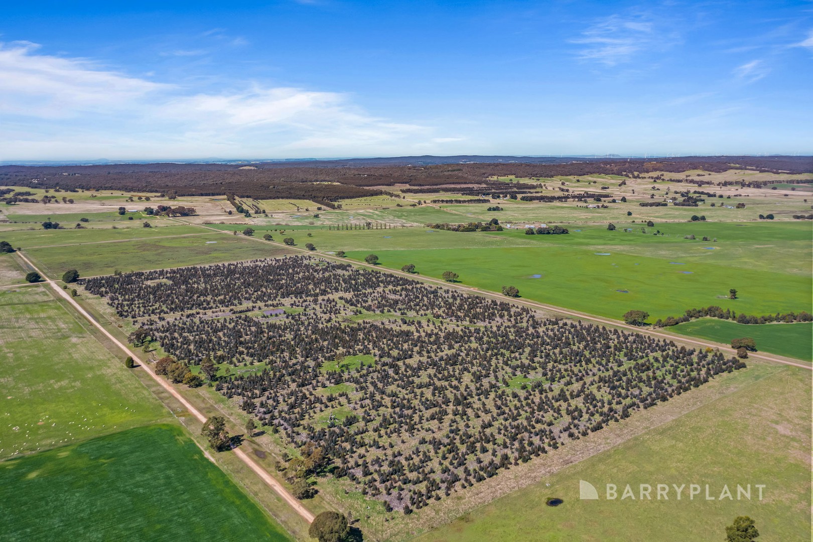 A49a Lucardies Road, Raglan, VIC 3373, Raglan - Thumbnail 6