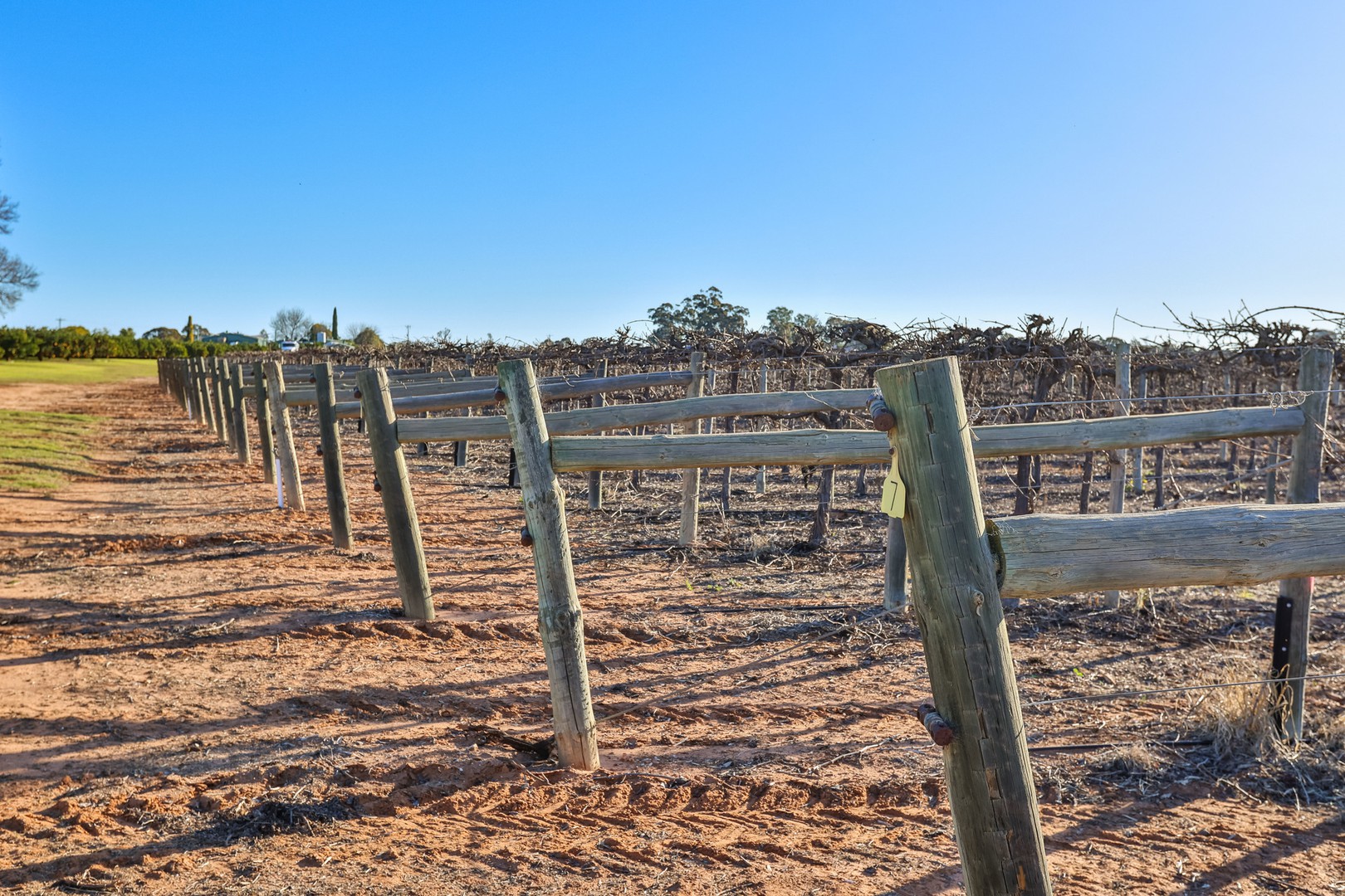 Blk 303 Quena Street, Red Cliffs, VIC 3496 - Thumbnail 2 - 12/07/2022