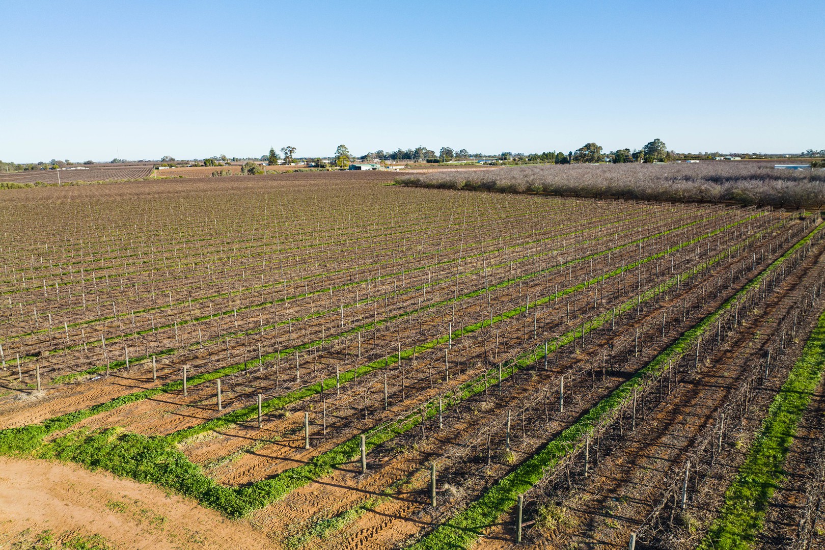 Blk 312 Leachs Road, Red Cliffs, VIC 3496, Red Cliffs - Thumbnail 2