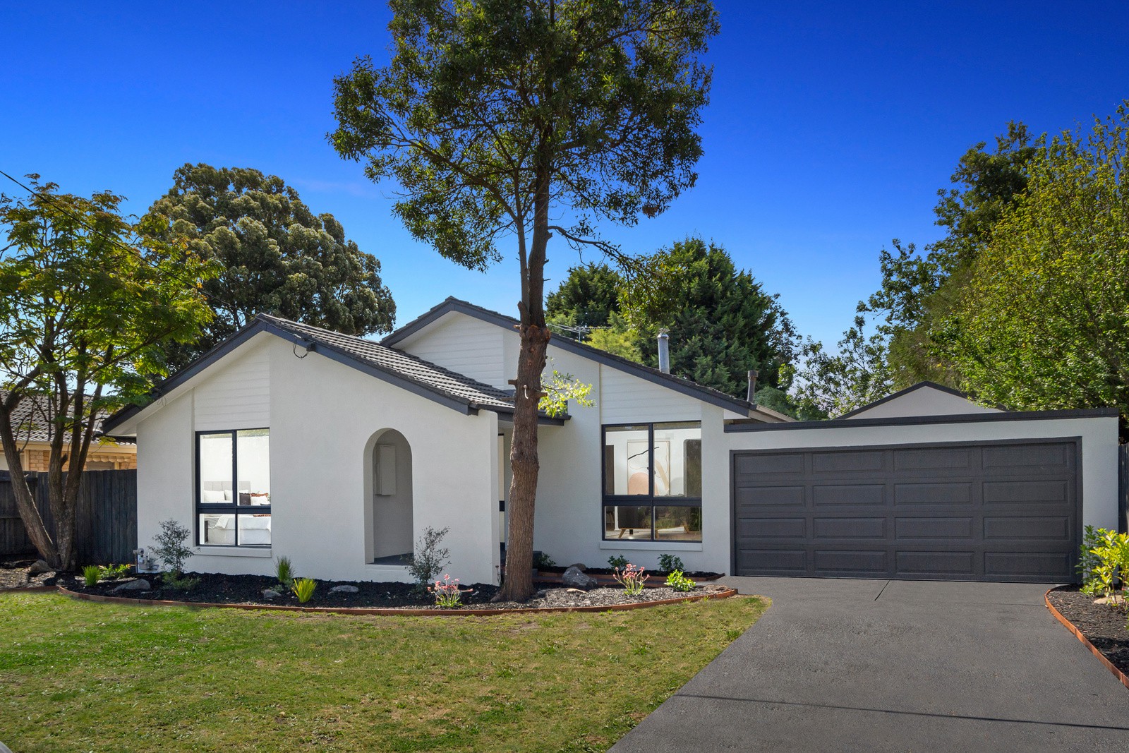 30 Laurel Avenue, Boronia - Thumbnail 4