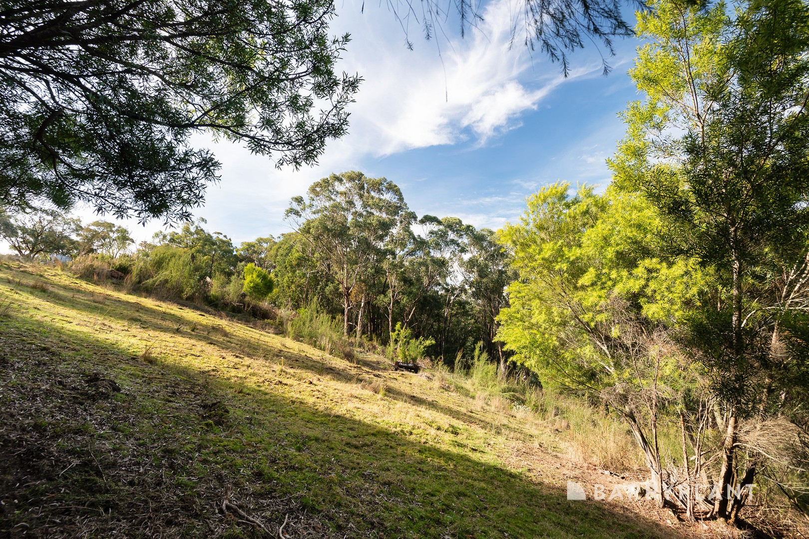 C54 Walford Road, Beaconsfield Upper, VIC 3808, Beaconsfield Upper - Thumbnail 5