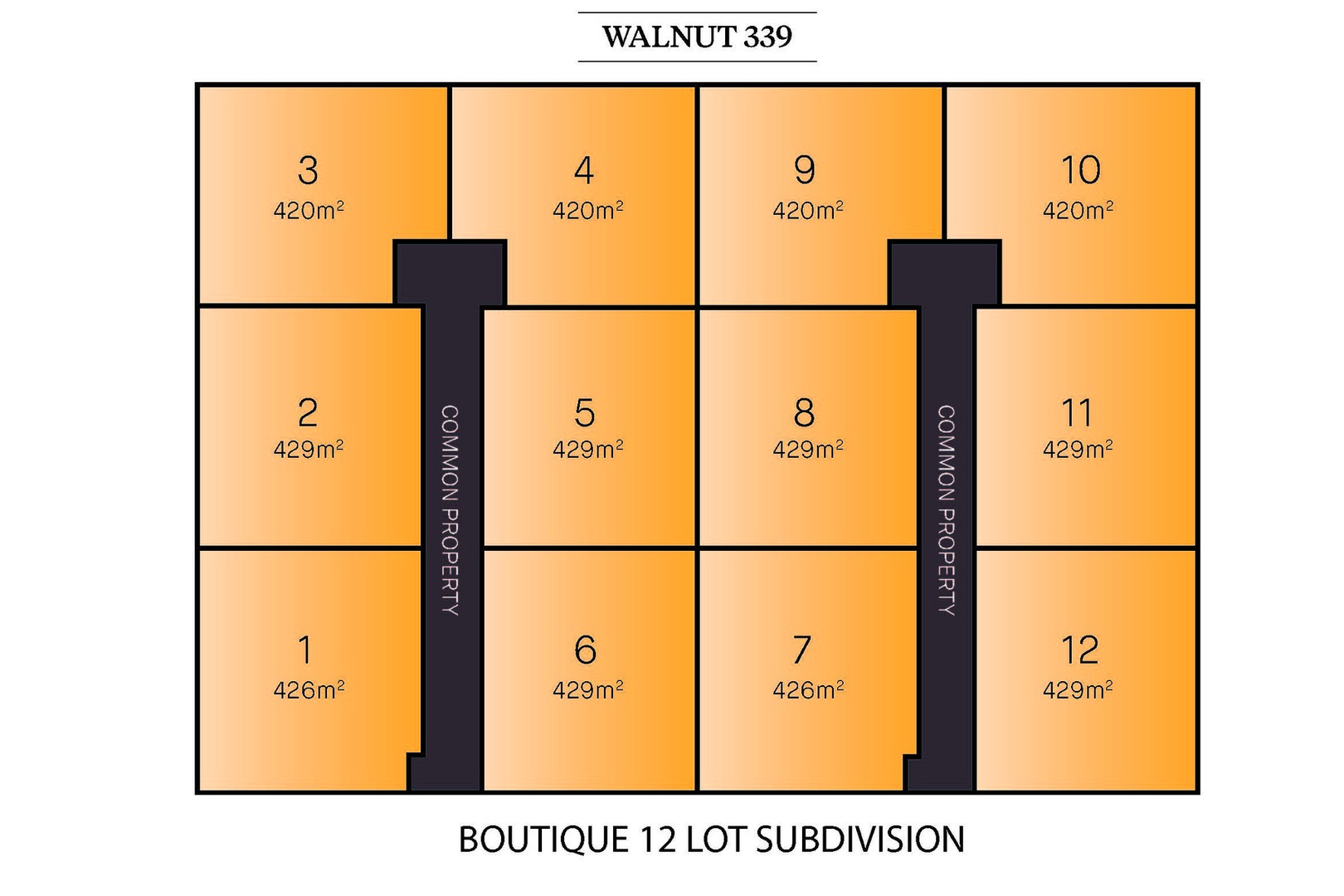 Lot: 1-12, 339 Walnut Avenue, Mildura, VIC, 3500, Mildura - Thumbnail 2