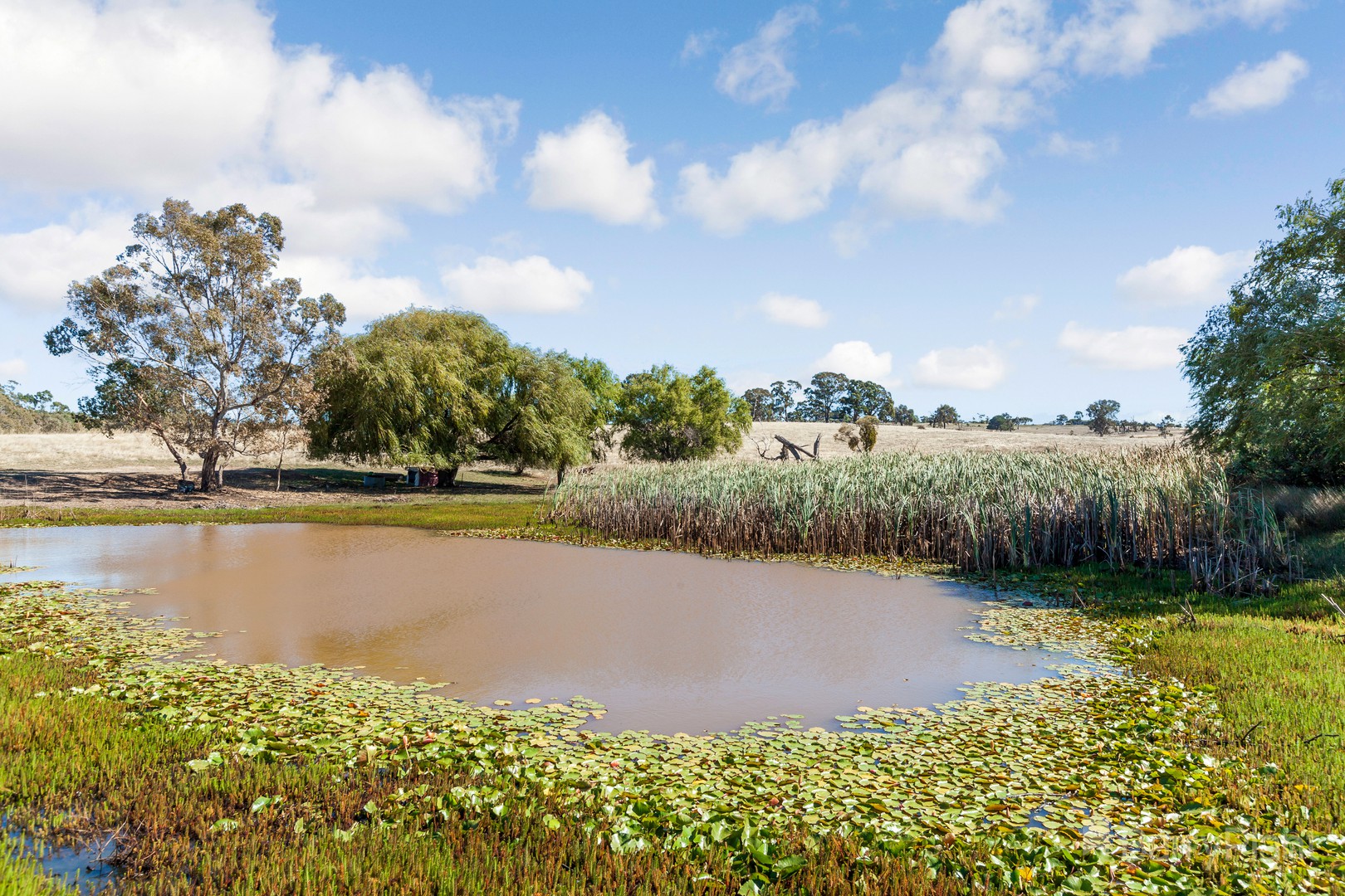 Lot 1/90 West Road, Pyalong, VIC 3521 - Thumbnail 1 - 28/04/2022