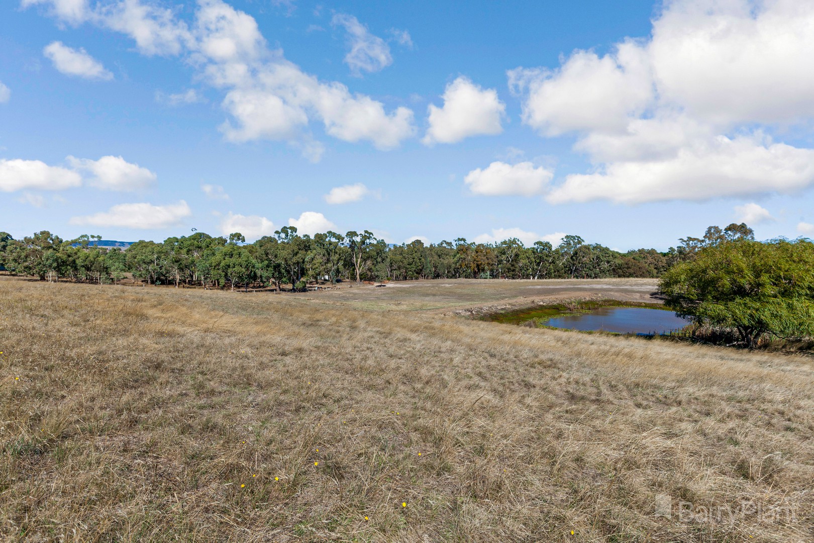 Lot 1/90 West Road, Pyalong, VIC 3521, Pyalong - Thumbnail 5