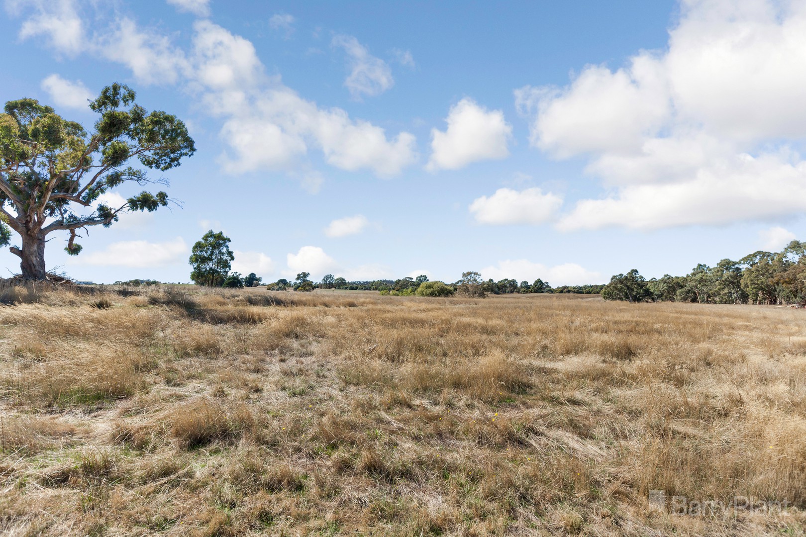 Lot 1/90 West Road, Pyalong, VIC 3521, Pyalong - Thumbnail 8