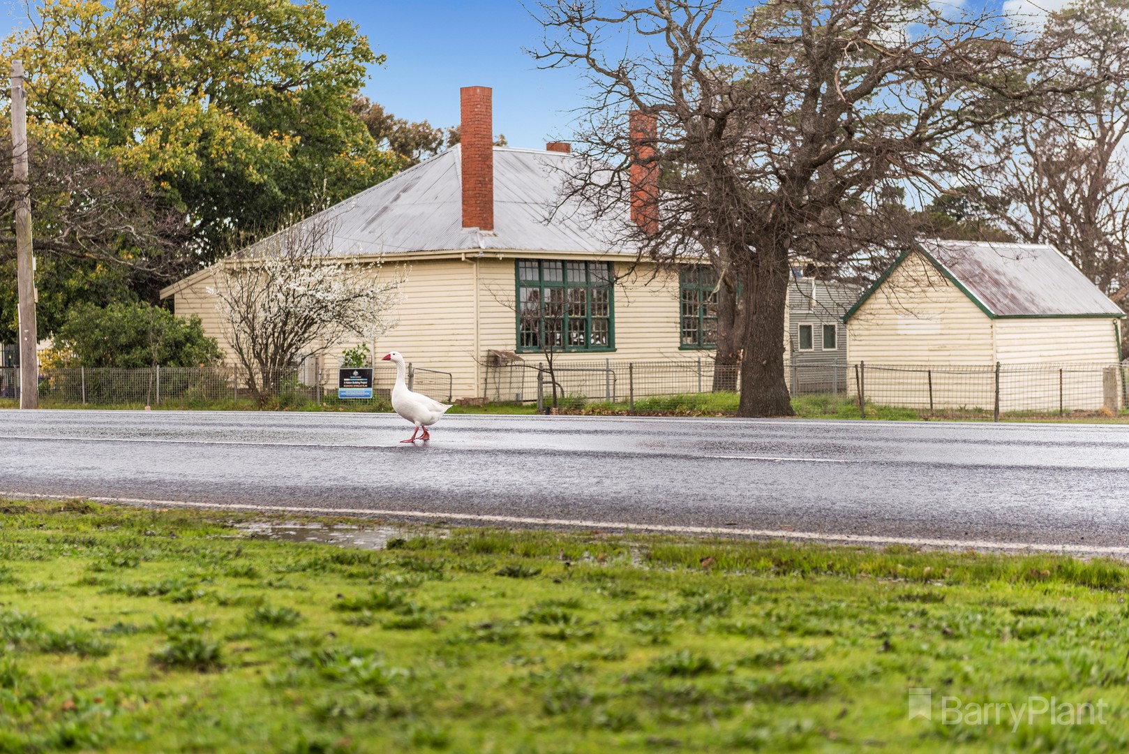 Lot 14 / No 28 Yellowgum Ave, Riddells Creek, VIC, 3431, Riddells Creek - Thumbnail 5