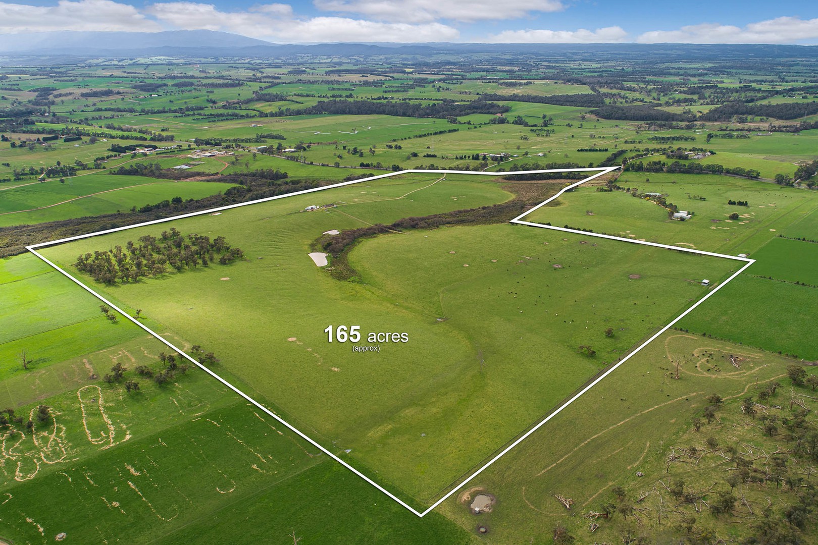 Lot 2 Yarragon-Shady Creek Road, Yarragon, VIC 3823, Yarragon - Thumbnail 3