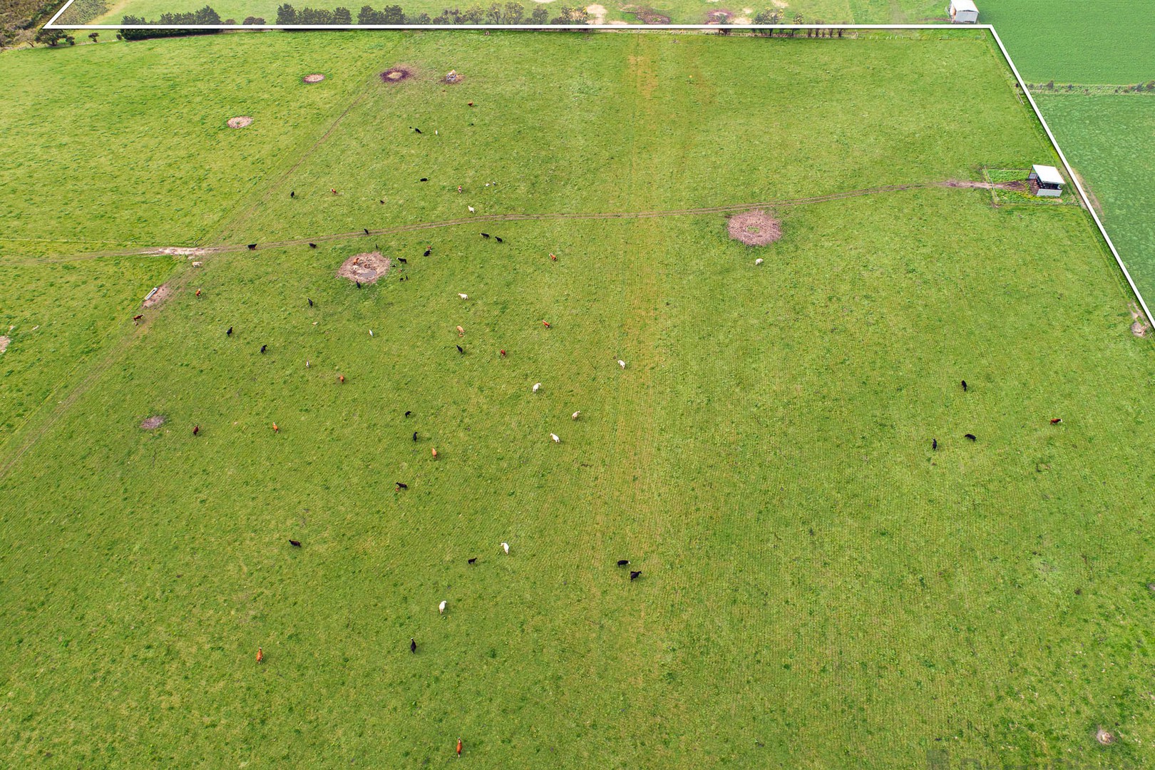 Lot 2 Yarragon-Shady Creek Road, Yarragon, VIC 3823, Yarragon - Thumbnail 5