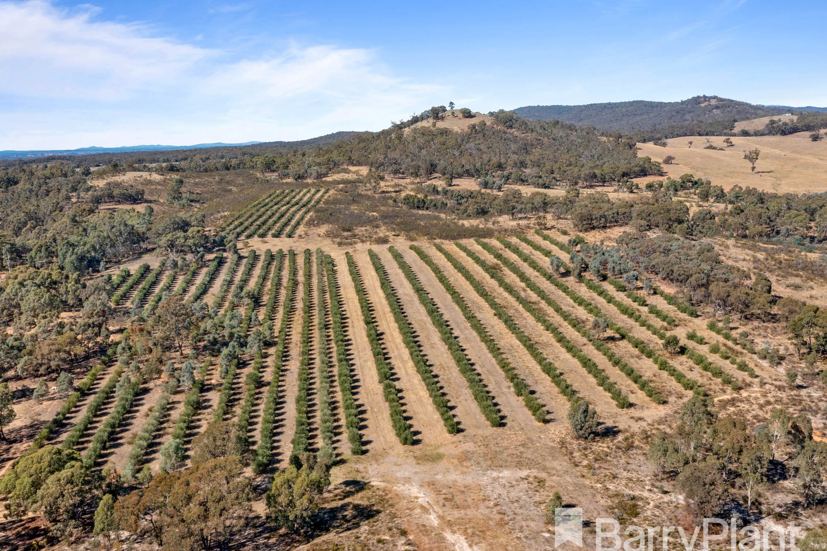 Lot: 29G1, Teddington Road, Stuart Mill, VIC 3477, Stuart Mill - Thumbnail 2